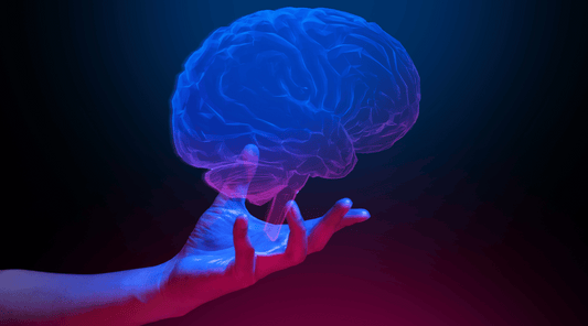 Australian NMN: Unravelling the Science of Mitochondria, SIRT1, and Anti-Ageing
