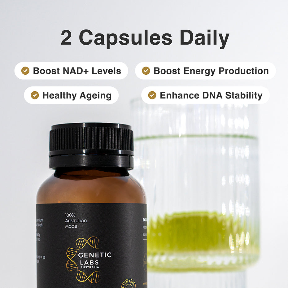 Complément NMN (approvisionnement de 3 mois) | Qualité de laboratoire la plus pure | 180 x 250 mg | Booster NAD