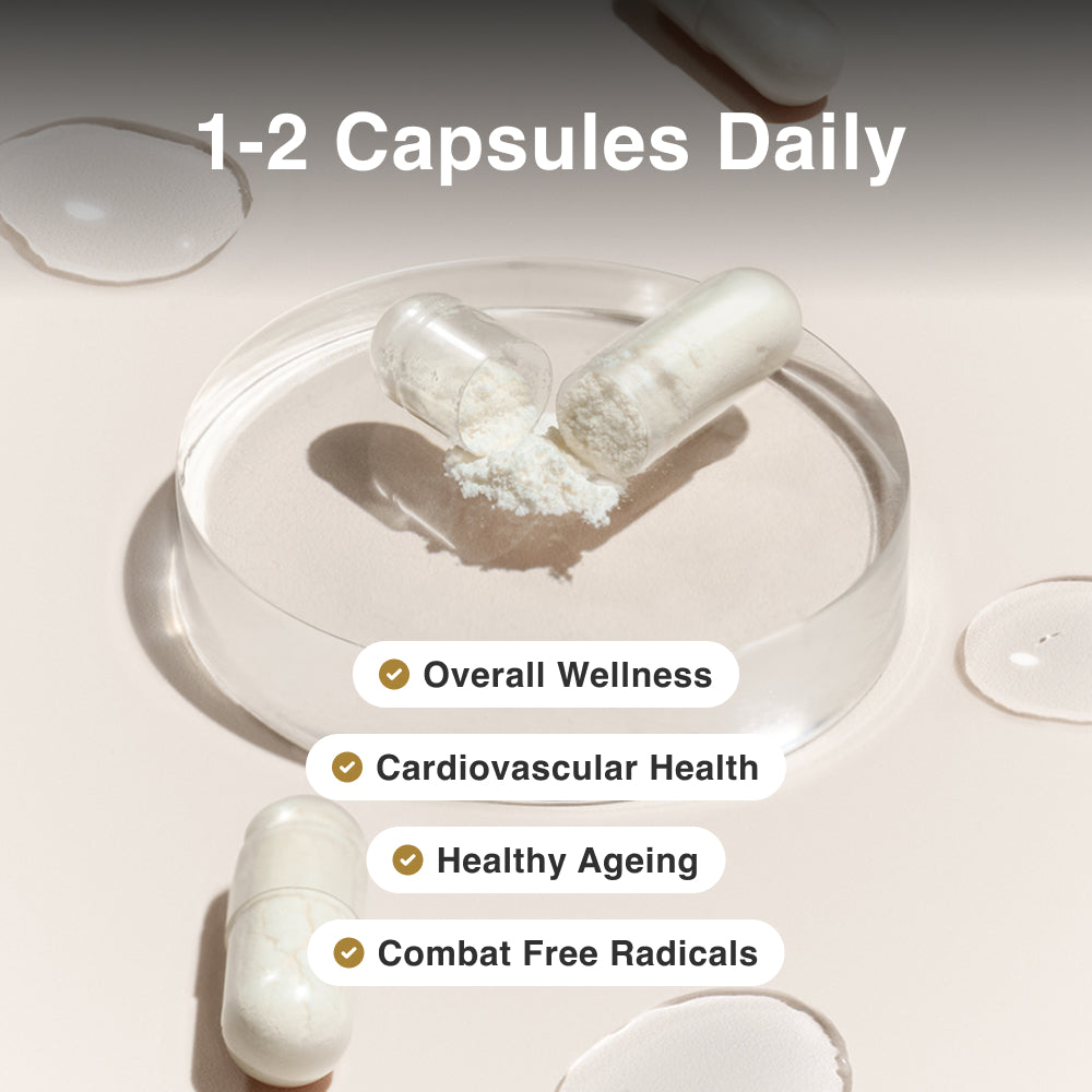 Complément de resvératrol (approvisionnement pour 3 mois) avec huile MCT | Fabriqué en Australie | 180 x 150 mg