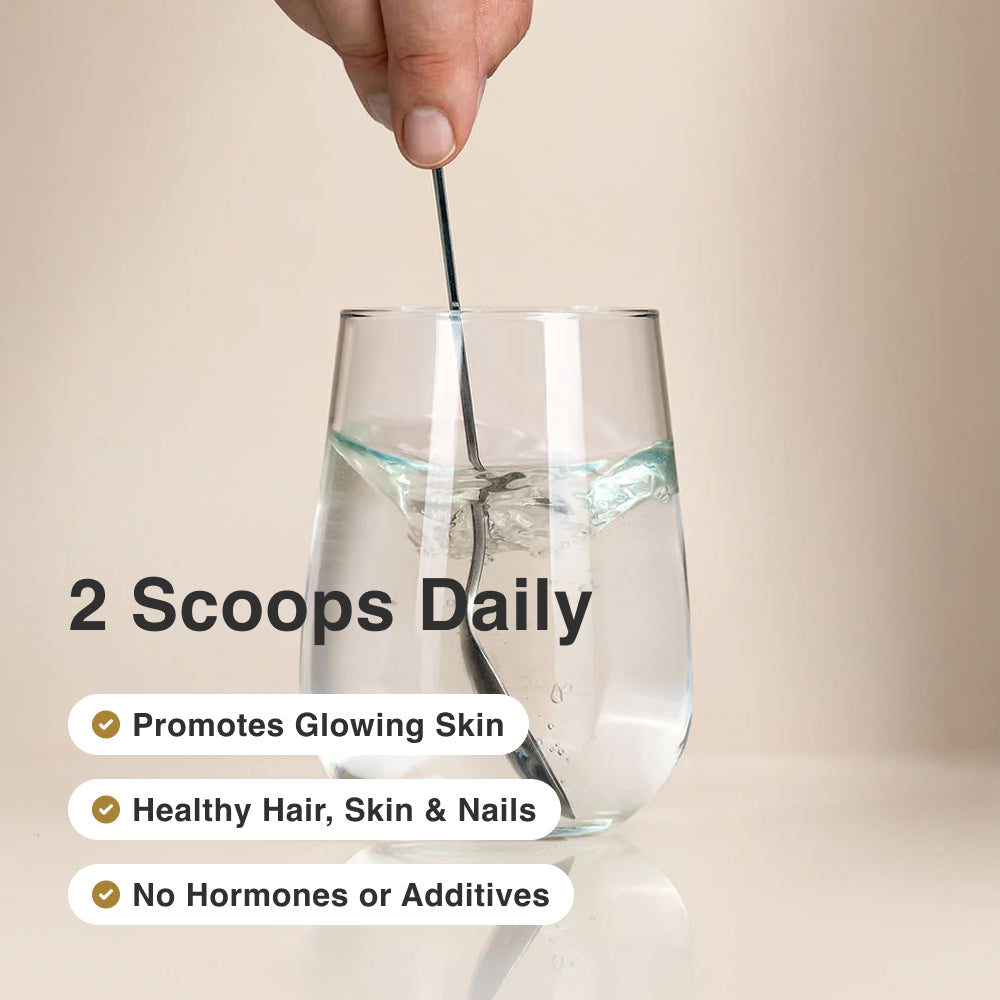 Peptides de collagène hydrolysés | Collagène bovin pur et sans saveur 300 g